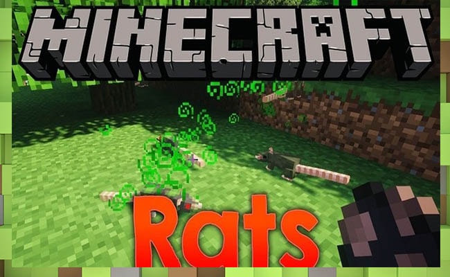 Скачать Мод Крысы | Rats для Minecraft