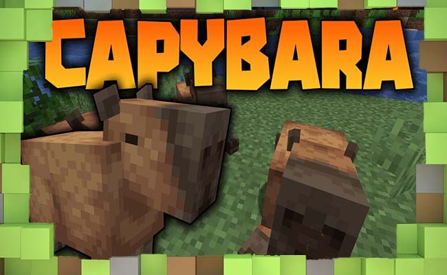 Скачать Мод Capybara - моб для Minecraft
